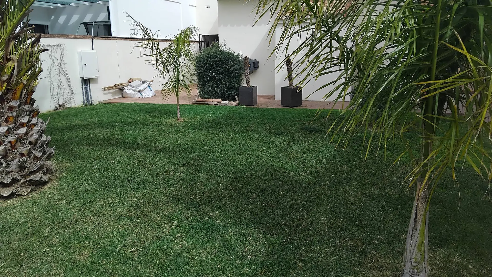 Completed pool and garden work